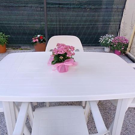 La Casa Di Lila - Appartamento Con Ingresso Indipendente E Spazio Esterno ラッパロ エクステリア 写真
